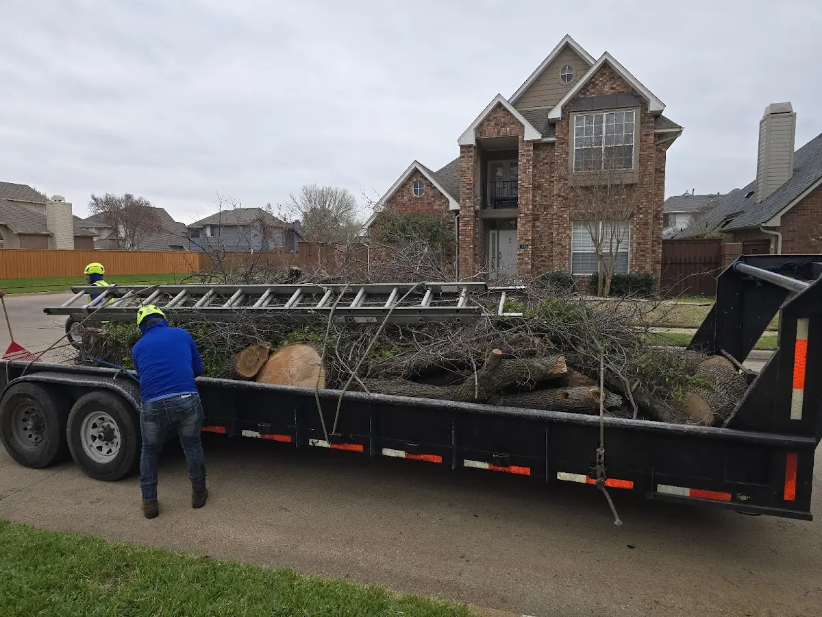 Expert Tree Removal with proper safety equipment in Ridgeway